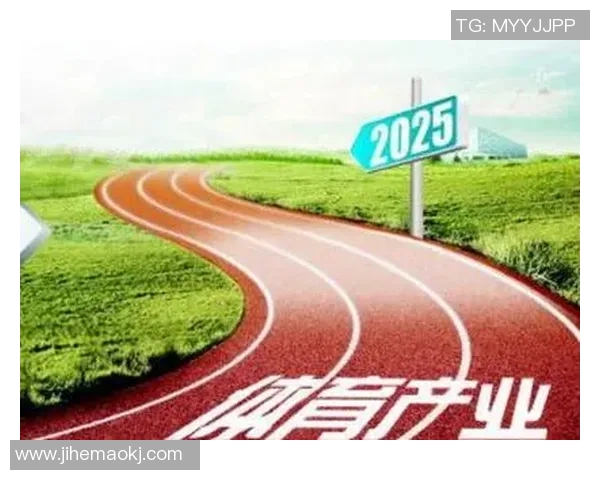 梦想与康太阳的较量结果揭晓未来发展方向与机遇分析